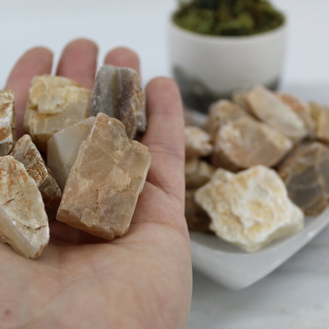 Moonstone Multi Colored - (Small) Rough Raw Natural