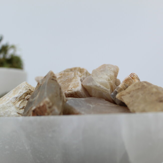 Moonstone Multi Colored - (Small) Rough Raw Natural