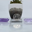 Amethyst Double Terminated DT Point - Medium 3-4" Grid