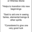 Hag Stone - Witch's Stone - Rough Raw Natural