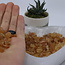 Imperial Topaz Small- Rough Raw Natural
