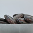 Que Sera (Quesera Blue Opal Llianite Galaxy Rhyolite Liberite Glaucophane) Worry (Thumb Fidget Relaxation Pocket) Stones - Large Oval