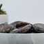 Que Sera (Blue Opal Llianite Galaxy Rhyolite Liberite Glaucophane) Worry Stone - Large Oval