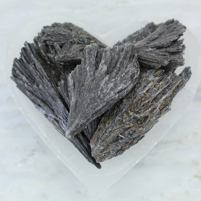 Black Kyanite Fan Large (3"-4") -Rough Raw Natural