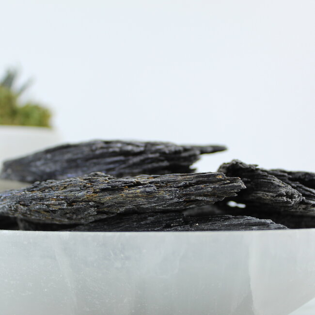 Black Kyanite Fan Large (3"-4") -Rough Raw Natural