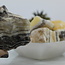 Zebra Calcite Medium - Rough Raw Natural