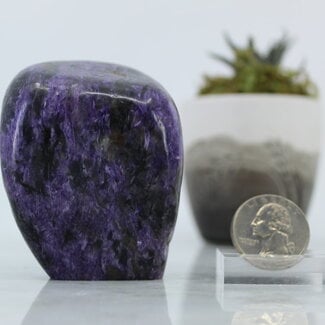 Charoite Free Form- Medium (2.5") #1