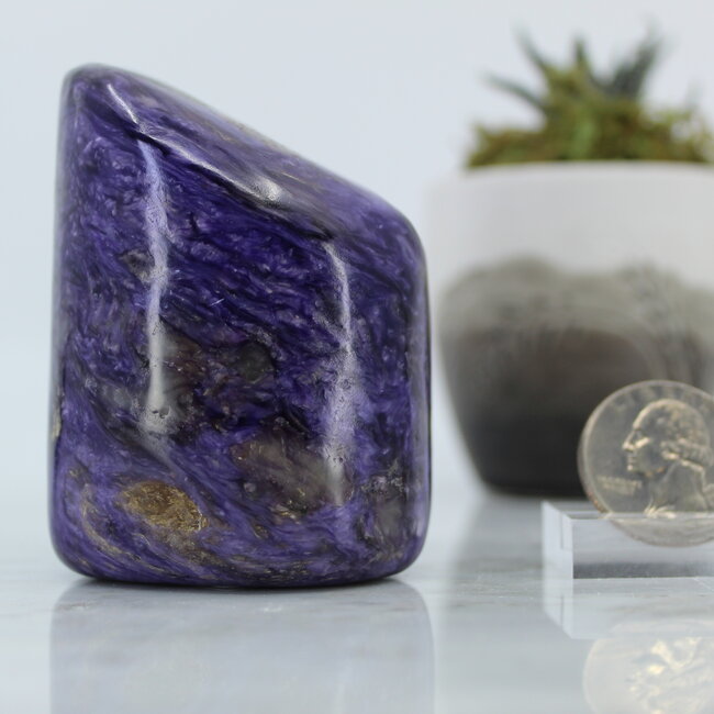 Charoite Free Form- Medium (2.5") #1