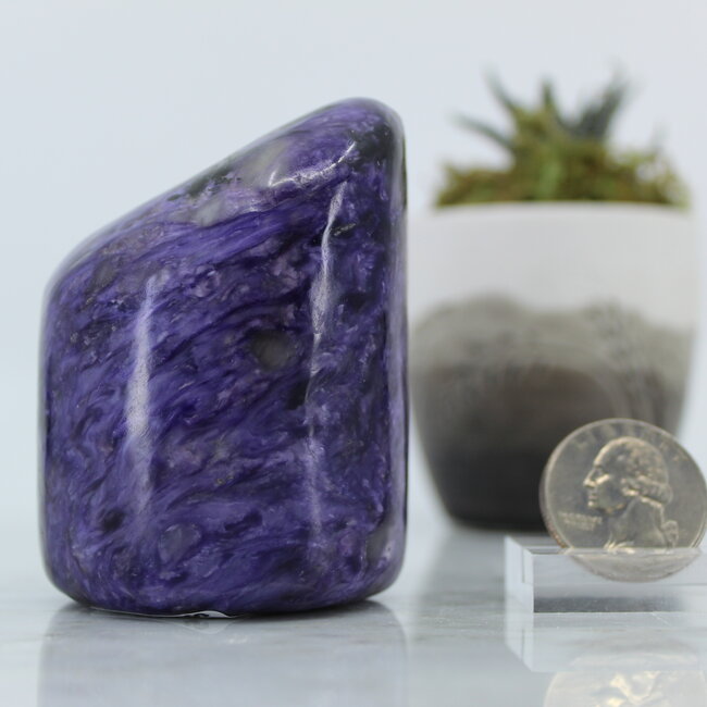 Charoite Free Form- Medium (2.5") #1
