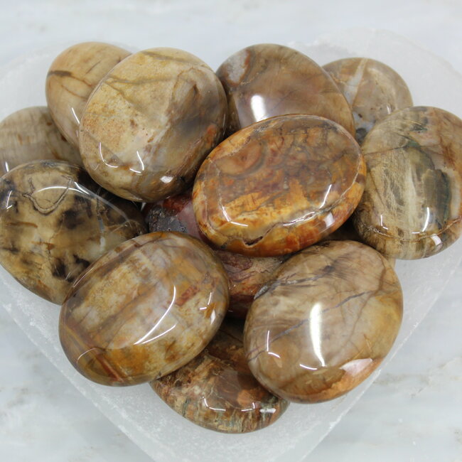 Petrified Wood Palm Pillow Pocket Stone