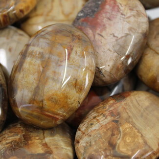 Petrified Wood Palm Pillow Pocket Stone
