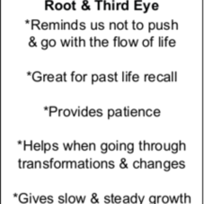 Petrified Wood Palm Pillow Pocket Stone