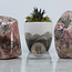 Rhodochrosite Free Form - 3" Specimen