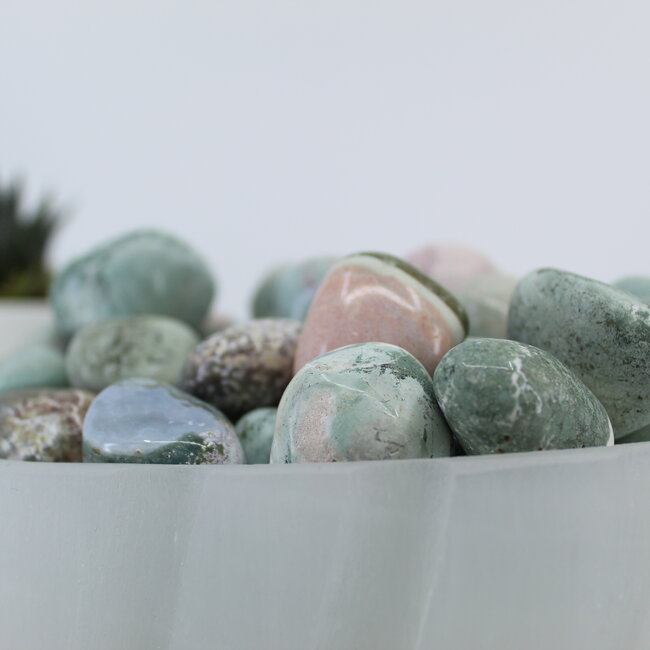 Lizardskin Agate- Tumbled