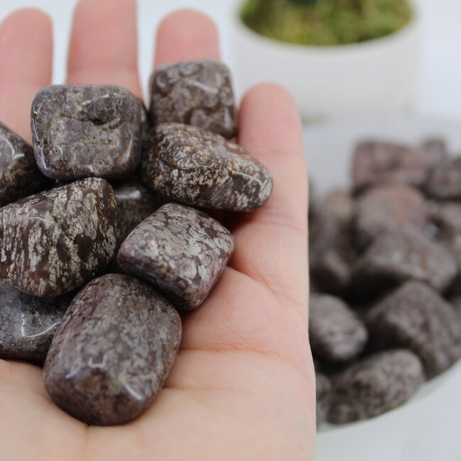 Brown (Chocolate) Snowflake Obsidian - Tumbled