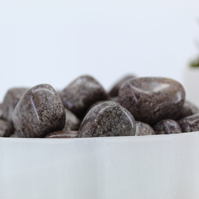 Brown (Chocolate) Snowflake Obsidian - Tumbled