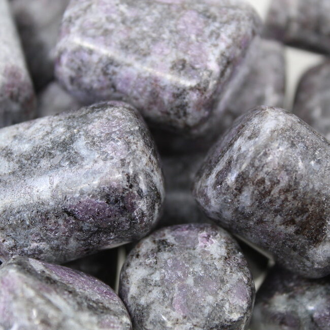 Garnet in Arfvedsonite (Fireworks Stone) - Tumbled
