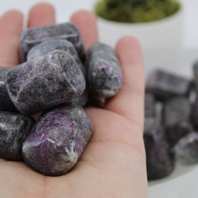 Garnet in Arfvedsonite (Fireworks Stone) - Tumbled