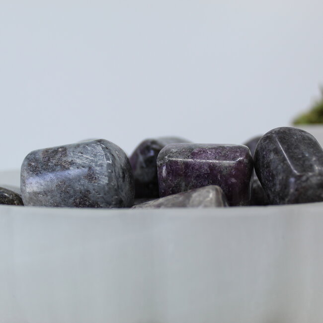 Garnet in Arfvedsonite (Fireworks Stone) - Tumbled