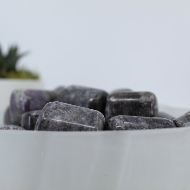 Garnet in Arfvedsonite (Fireworks Stone) - Tumbled