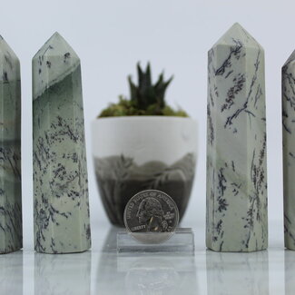 Dendric Dendritic Jade Tower Point Generator- Medium (3-4") Dendric Dendritic Jade Tower Point Generator- Medium (3-4")