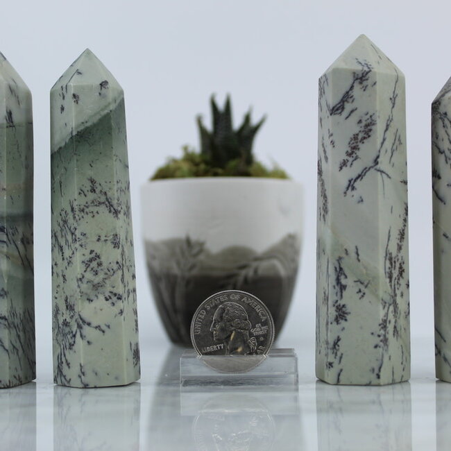 Dendric Dendritic Jade Tower Point Generator- Medium (3-4")