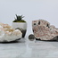 Pink Fluorapophyllite (Zeolite) Clusters - Large Rough Raw Natural