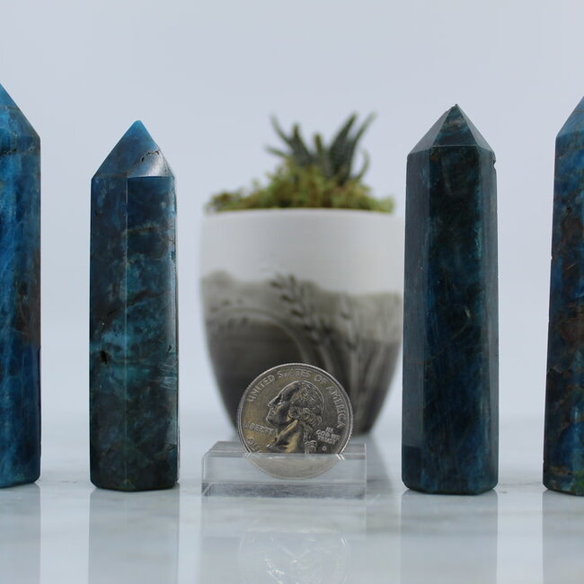 Blue Apatite Tower/Point/Generator- Small (2-3")