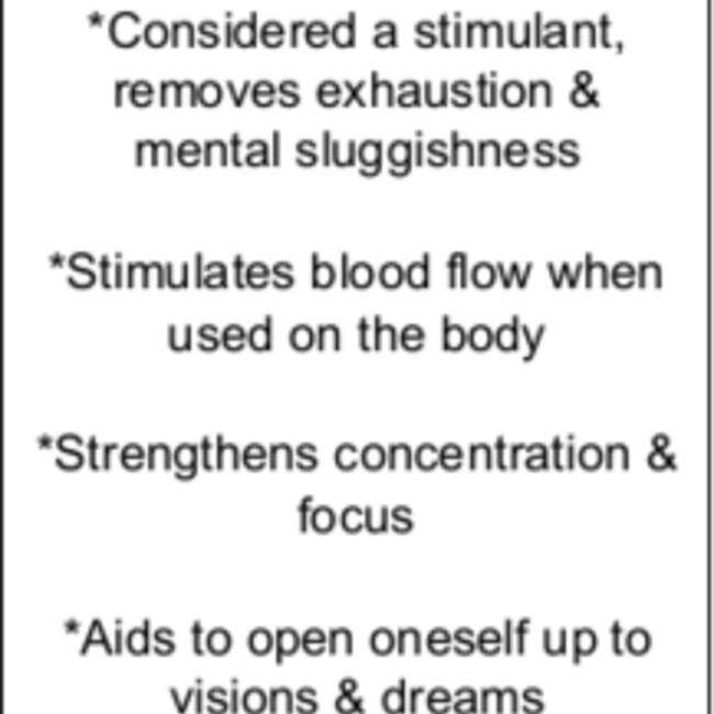 Eucalyptus Sage Bundle Smudge Stick - 4"