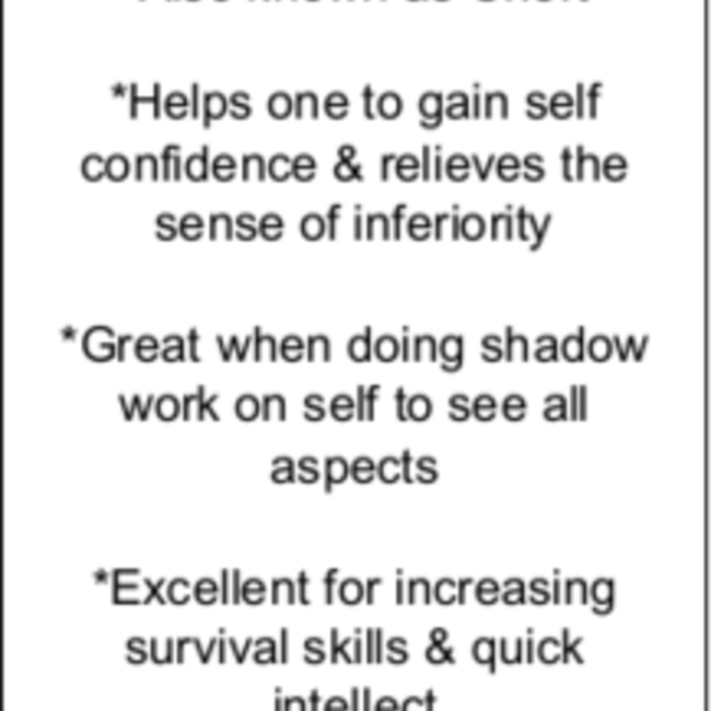 Black Flint (Chert) - Tumbled