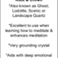 Garden (Landscape Ghost Phantom) Quartz Lodolite Tower Point Generator - Small