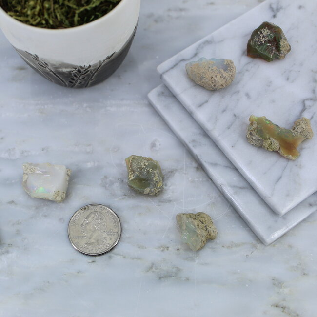 Boulder Opal Medium - Rough Raw Natural