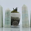 Green Aragonite Tower Point Generator - Medium (3 - 4")