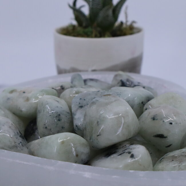 Hiddenite (Green Kunzite) - Tumbled