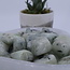 Hiddenite (Green Kunzite) - Tumbled