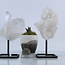 Clear (Crystal) Quartz Cluster on Pin Stand - Medium - Rough Raw Natural