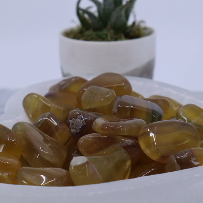Yellow Fluorite - Tumbled Smooth