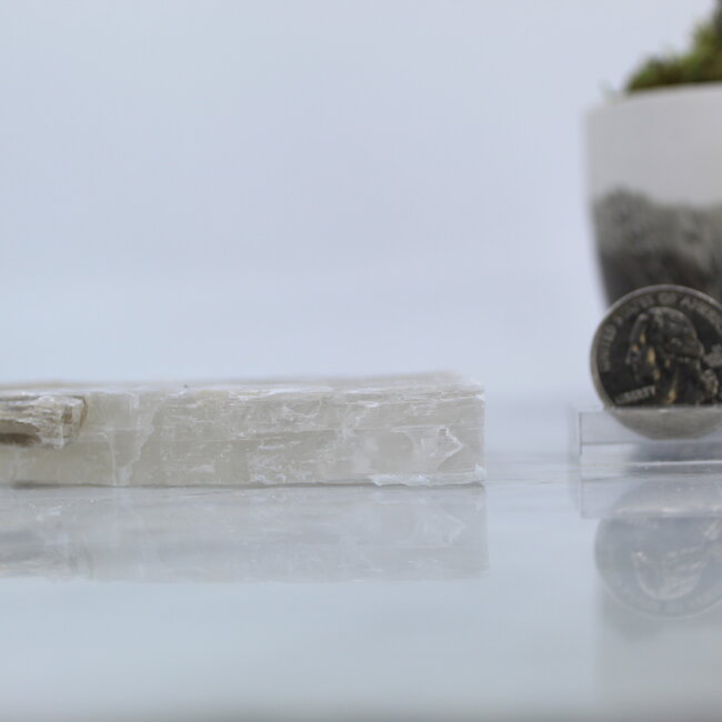 Selenite (Satin Spar Gypsum) Slab Slice Flat - 2.5-4" Medium One Side Polished Translucent