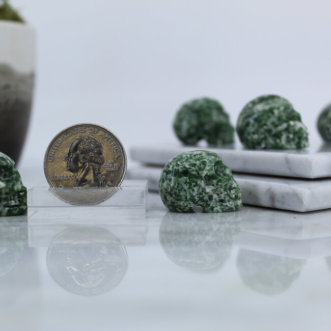 Tree Agate Skull- Mini