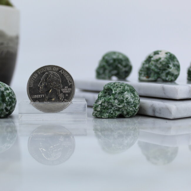 Tree Agate Skull- Mini