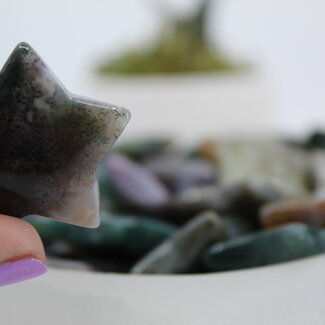 Ocean (Sea Sediment) Jasper Stars - Medium