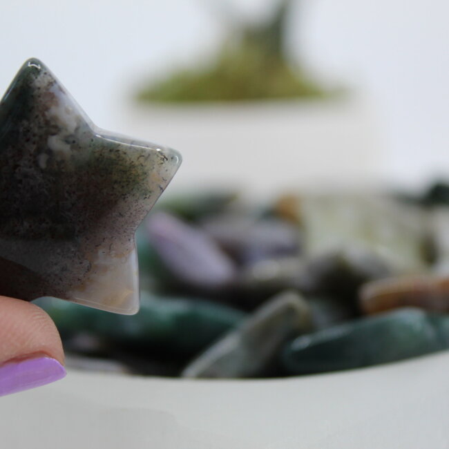 Ocean (Sea Sediment Marine) Jasper Stars - Medium