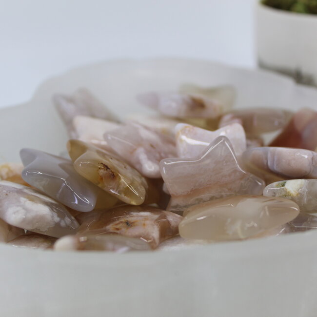 Flower Agate (Cherry Blossom) Stars - Medium