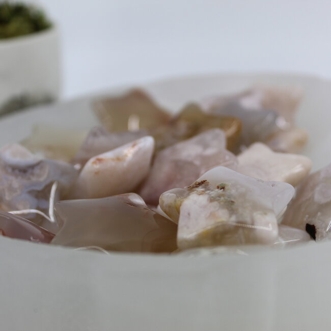 Flower Agate (Cherry Blossom) Stars - Medium