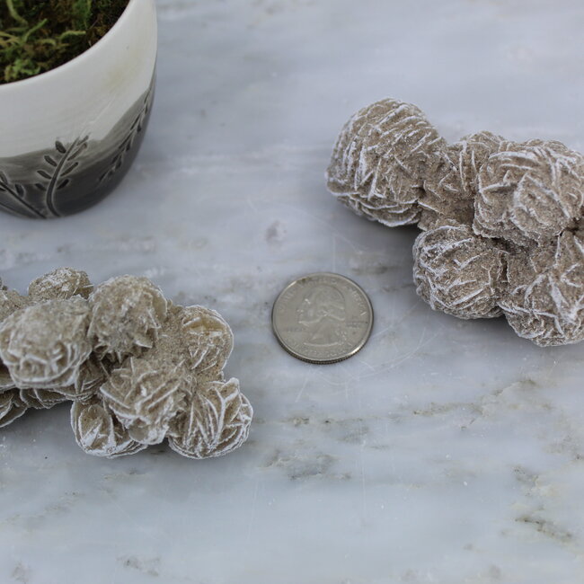 Desert Rose Gypsum Cluster- Large Rough Raw Natural