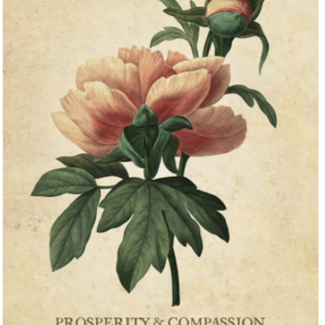 Botanical Inspiration Oracle Cards Deck - Tarot Cards