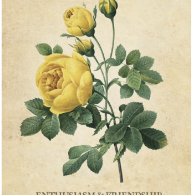 Botanical Inspiration Oracle Cards Deck