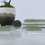 Green Aventurine Tower Point Generator - Mini (1.5")