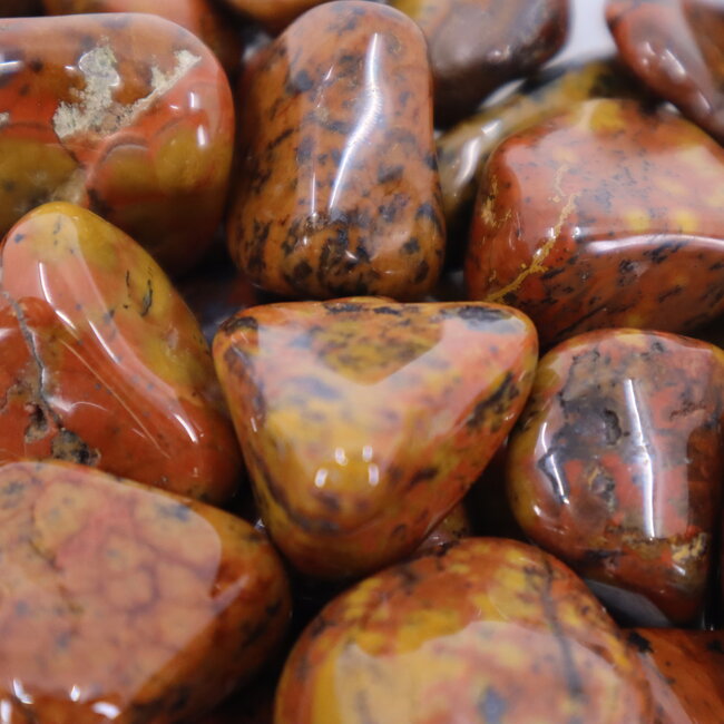 Tigers Skin Tail Jasper - Tumbled