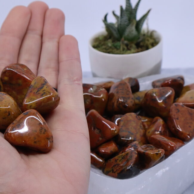 Tigers Skin Tail Jasper - Tumbled